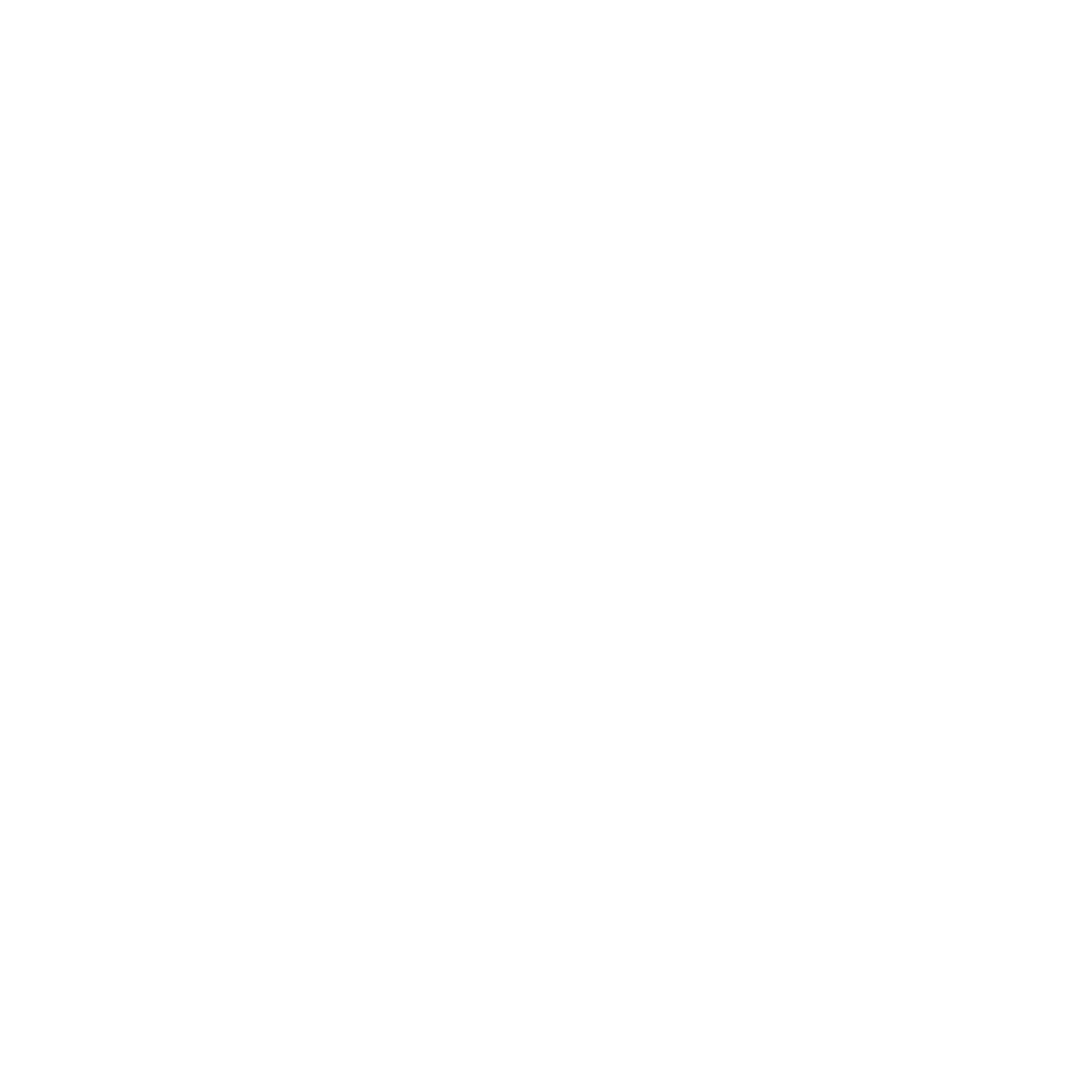 google-white-logo-0