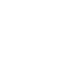 video-icon