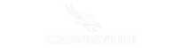 CrowdStrike logo