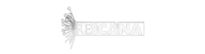 Rescana